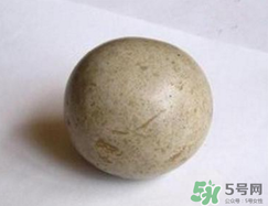 羊寶是什么？羊寶為什么這么貴？