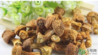 巴西蘑菇怎么吃？巴西蘑菇的作用與功效