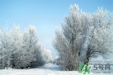 下雪天會打雷嗎？下雪天為什么會大雷？