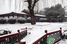 下雪天要打傘嗎？下雪天到底要不要打傘？