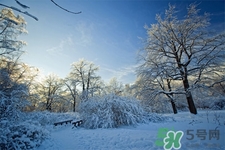 下雪天要打傘嗎？下雪天到底要不要打傘？