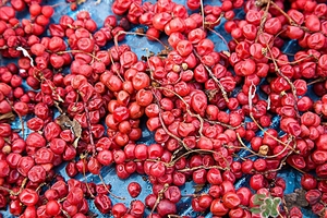 五味子茶韓國怎么喝？五味子茶的五種味道代表什么？