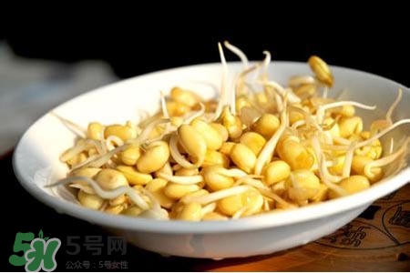 冬天可以發(fā)豆芽嗎？冬天怎樣發(fā)黃豆芽？
