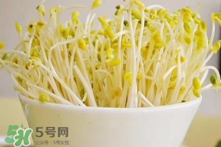 冬天可以發(fā)豆芽嗎？冬天怎樣發(fā)黃豆芽？