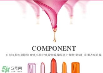 美顏秘笈好用嗎？美顏秘笈果凍口紅孕婦可以用嗎？