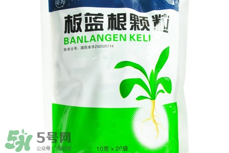 板藍根能天天喝嗎？板藍根可以經常喝嗎？