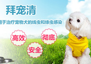 拜寵清要怎么喂？拜寵清驅蟲藥說明書
