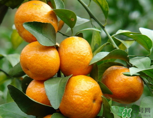 小橘子上火嗎？小橘子吃多了會(huì)上火嗎？