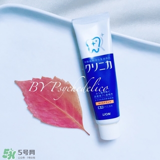 獅王牙膏保質期怎么看？獅王牙膏保質期是多久？