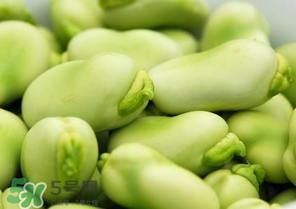 蠶豆可以打豆漿嗎?怎么打豆漿呢