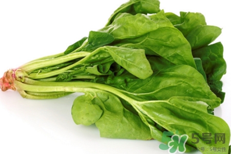 菠菜可以生吃嗎？菠菜能直接生吃嗎？