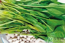 菠菜熱量高嗎？菠菜吃多了會(huì)發(fā)胖嗎？