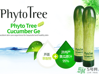 姬存希黃瓜膠多少錢？姬存希黃瓜膠價格