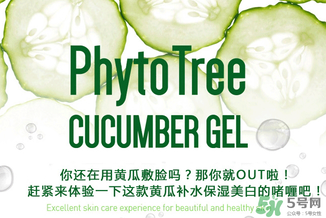 姬存希黃瓜膠多少錢？姬存希黃瓜膠價格