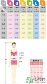 都市麗人內衣怎么樣？都市麗人尺碼表