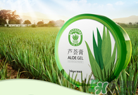 雅麗潔蘆薈膠多少錢(qián)？雅麗潔蘆薈膠好不好？