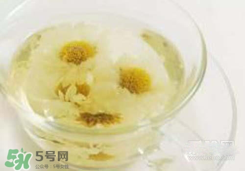 菊花茶什么時候喝最好？菊花茶什么季節喝最好？