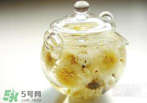 菊花茶什么時候喝最好？菊花茶什么季節喝最好？