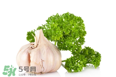 2017過年大蒜會漲價嗎？2017年春節大蒜價格預測