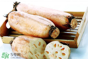 蓮藕多少錢一斤？蓮藕多少錢一斤2017？