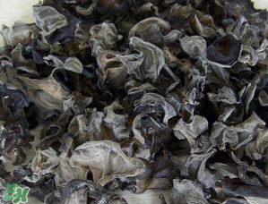 干木耳泡多久可以吃？干木耳泡了兩天還能吃嗎？