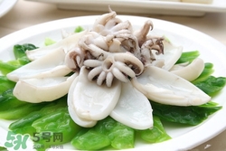 墨魚怎么泡發?怎么快速泡發墨魚