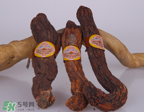 鎖陽(yáng)和肉蓯蓉一起泡酒可以嗎？肉蓯蓉和鎖陽(yáng)的區(qū)別
