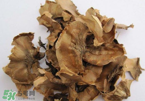分心木真的能治失眠嗎？分心木治療失眠有奇效