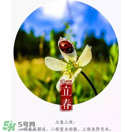 立春可以出門嗎？立春為什么不能出門？