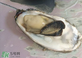生蠔多少錢一斤？生蠔一斤有幾個(gè)？