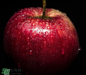 蘋果放在水里是沉還是浮？蘋果的密度是多少？
