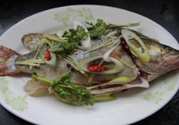 桂魚蒸多長(zhǎng)時(shí)間？桂魚水開后蒸多長(zhǎng)時(shí)間？