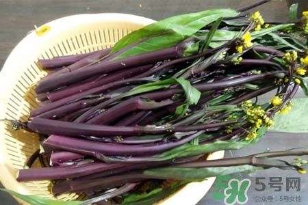 紅菜苔熱量高嗎？吃紅菜苔嗎會(huì)胖嗎？