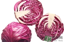 紫甘藍(lán)是轉(zhuǎn)基因食品嗎？紫甘藍(lán)是轉(zhuǎn)基因蔬菜嗎？