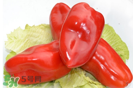 如何挑選紅椒？紅椒怎么挑選？