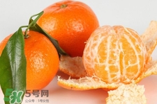橘子發霉長得是什么？橘子發霉是什么菌？