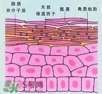 敷面膜真的有效嗎？敷面膜真的有用嗎？