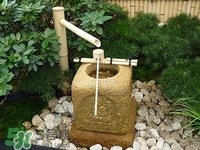 飲水機里的水可以放多久?春節過來還能喝嗎