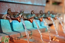 飲水機里的水可以放多久?春節過來還能喝嗎