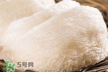 燕窩可以提高免疫力嗎？燕窩能增強免疫力嗎？