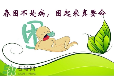 春困開車怎么辦？春天開車易犯困怎么辦？