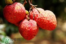 吃荔枝會(huì)過(guò)敏嗎？吃荔枝過(guò)敏怎么辦？