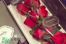 roseonly鮮花多少錢？roseonly永生花多少錢？