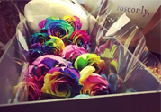 roseonly鮮花多少錢？roseonly永生花多少錢？