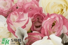 鮮花怎么養？鮮花怎么養放的比較久？