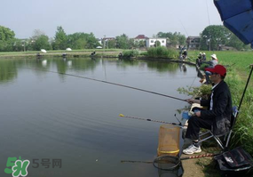 春天釣魚用什么餌料？春天釣魚用腥還是香？