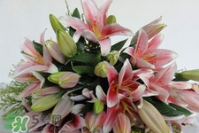 百合花怎么養(yǎng)水里？水養(yǎng)百合花怎么開(kāi)久些？