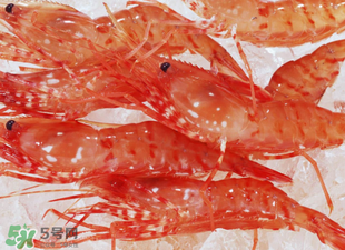 凍蝦能放多久？凍蝦放冰箱冷藏多久？