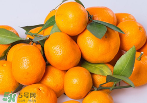 桔子批發(fā)多少錢一斤？桔子多少錢一斤？