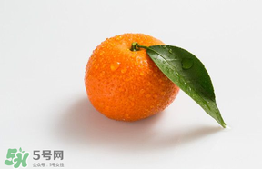 桔子批發(fā)多少錢一斤？桔子多少錢一斤？